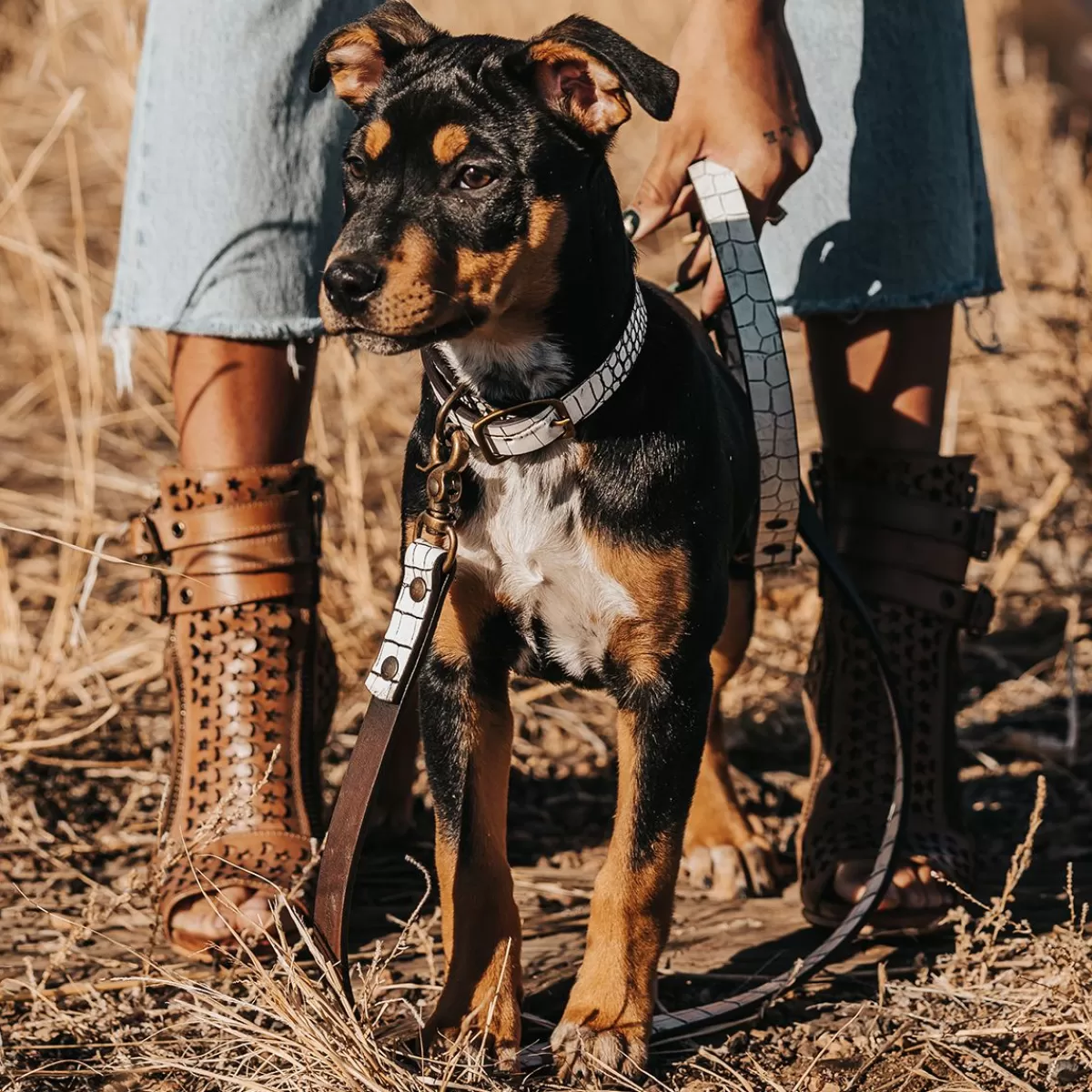 Freebird Stores Dog Leash White Croco Shop